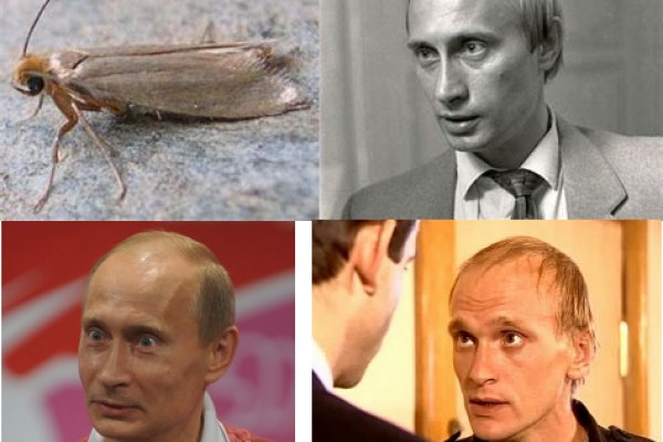 Кракен омг мега