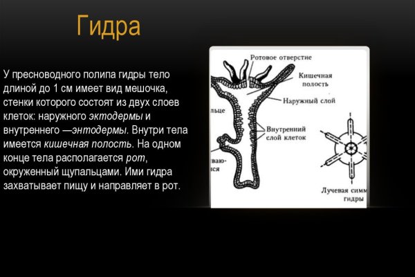 Кракен онион тор